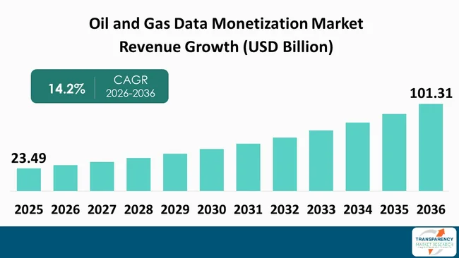Oil And Gas Data Monetization Market By Revenue