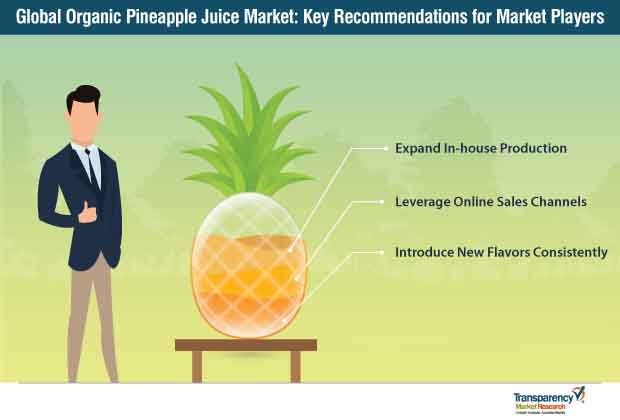 organic pineapple juice market startegy