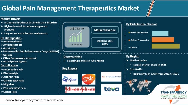 Pain Management Therapeutics Market