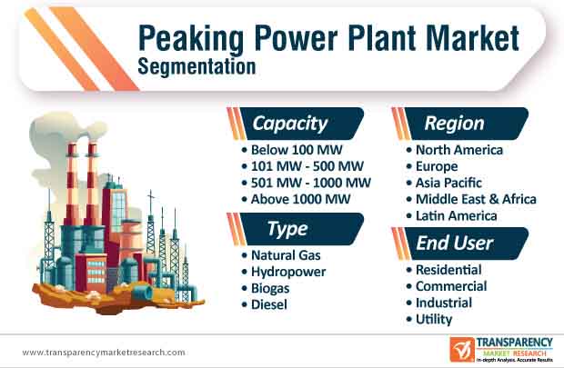 Peaking Power Plant Market Segmentation peaking power plant market segmentation