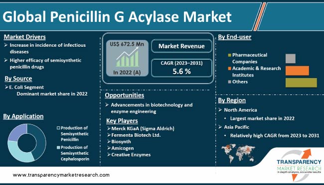 Penicillin G Acylase Market