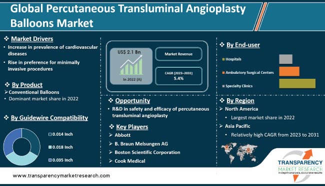 Percutaneous Transluminal Angioplasty Balloons Market