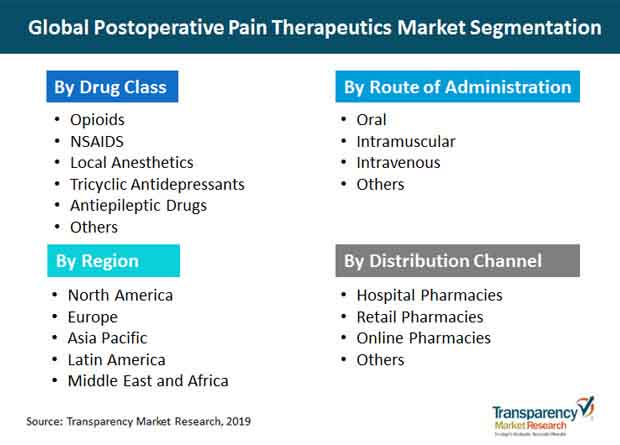 Postoperative Pain Therapeutics Segmentation postoperative pain therapeutics segmentation