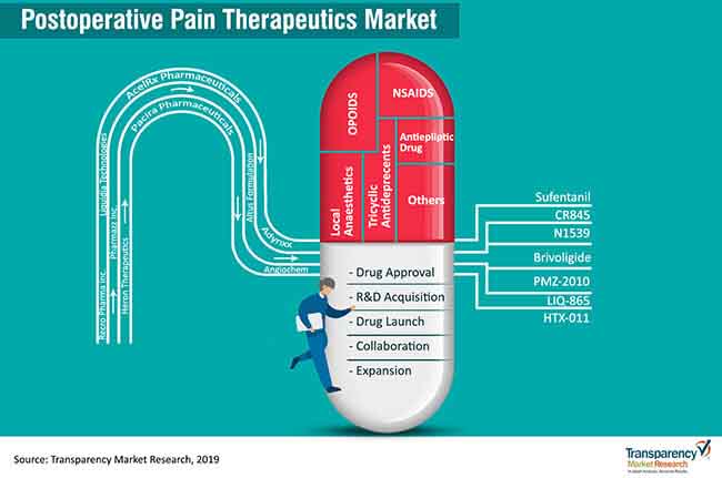 Postoperative Pain Therapeutics postoperative pain therapeutics