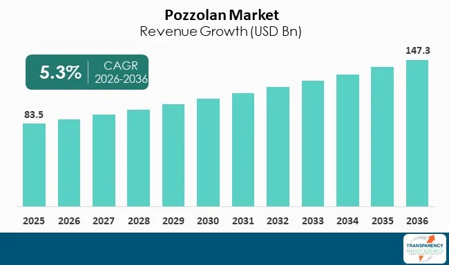 Pozzolan Market By Revenue