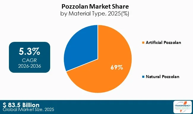 Pozzolan Market By Type