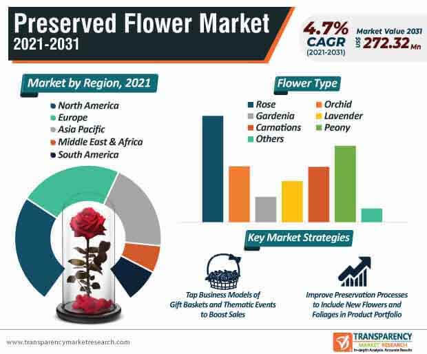 preserved flower market infographic
