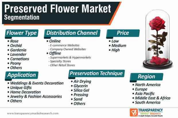 Preserved Flower Market Segmentation preserved flower market segmentation