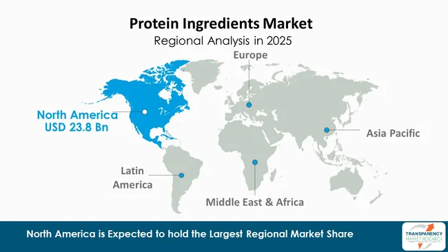 Protein Ingredients Market By Region