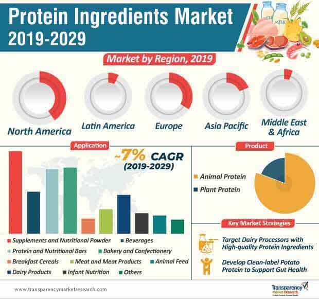 protein ingredients market infographic