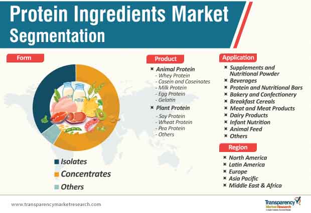 protein ingredients market segmentation