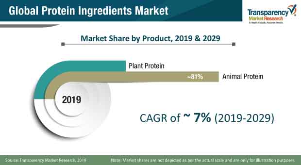 protein ingredients market share