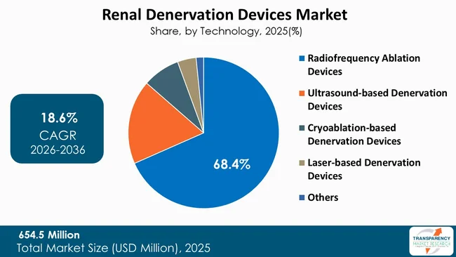 Renal Denervation Devices Market By Type