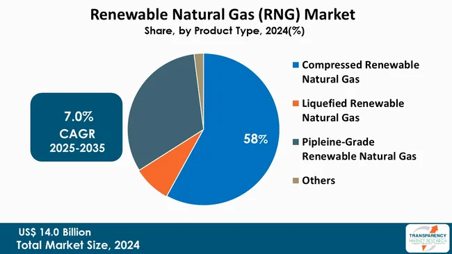 Renewable Natural Gas Rng Market By Type Renewable Natural Gas Rng Market By Type