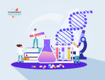 Agricultural Micronutrients  Market Insights, Trends & Growth Outlook