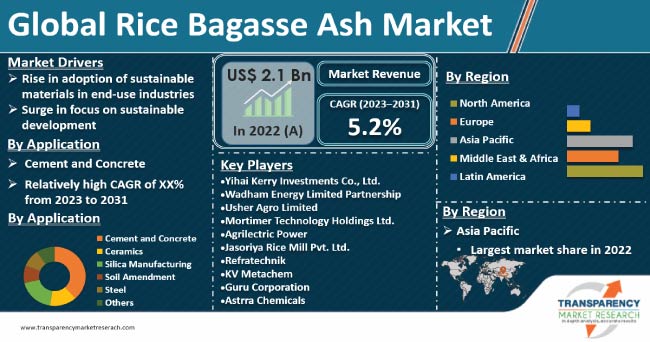 Rice Bagasse Ash Market