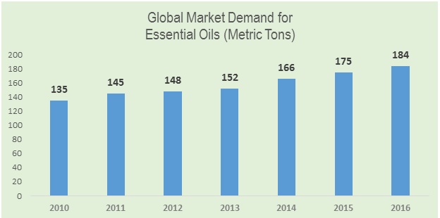 Rose Geranium Essential Oil Market Global Industry Analysis 26