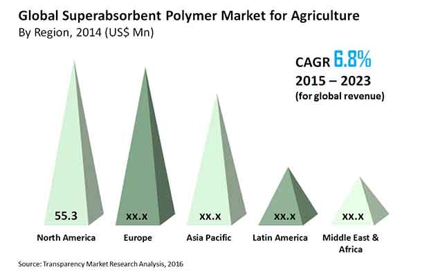 sap-market