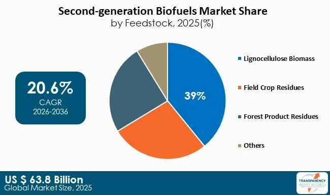 Second Generation Biofuels Market By Type