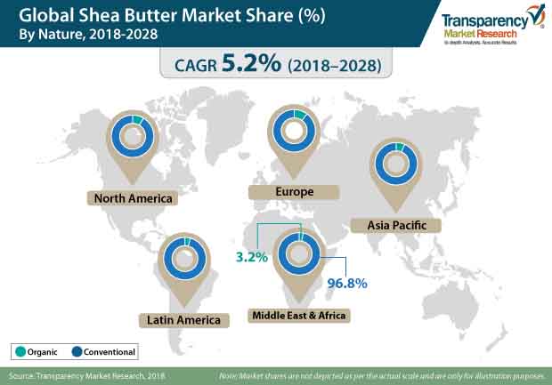 Shea Butter Market shea butter market