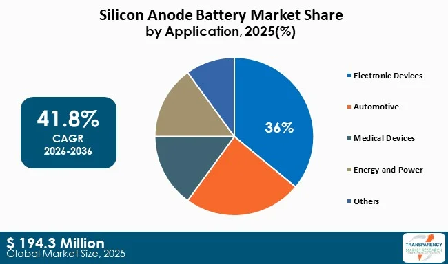 Silicon Anode Battery Market By Type