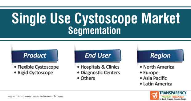 single use cystoscope market segmentation