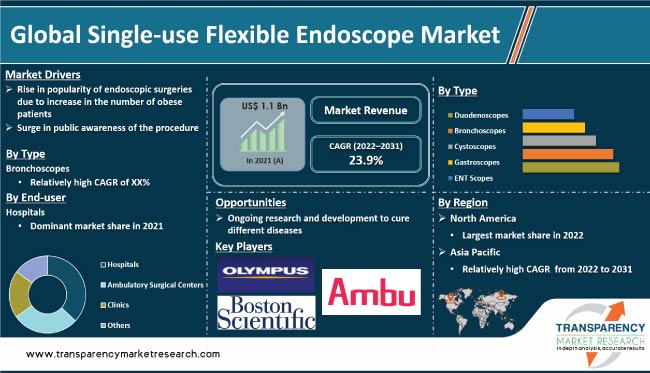 Single Use Flexible Endoscope Market