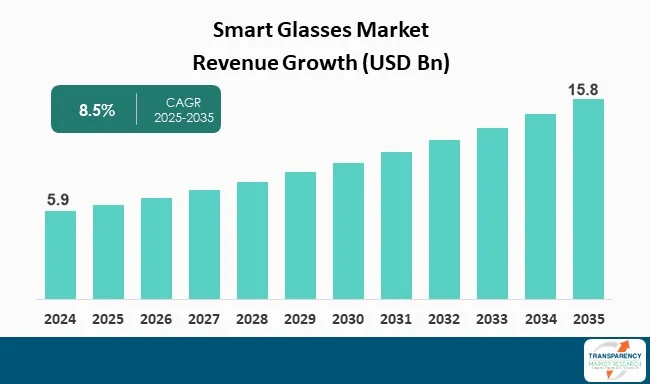 Smart Glasses Market By Revenue