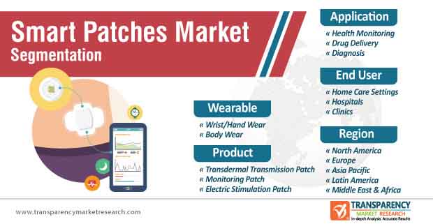 smart patches market segmentation
