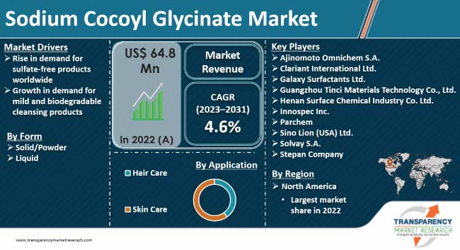 Sodium Cocoyl Glycinate Market