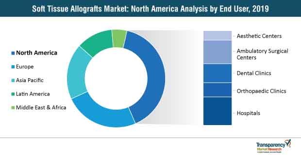 Soft Tissue Allografts Market North America soft tissue allografts market North America