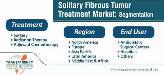 solitary fibrous tumor treatment market segmentation