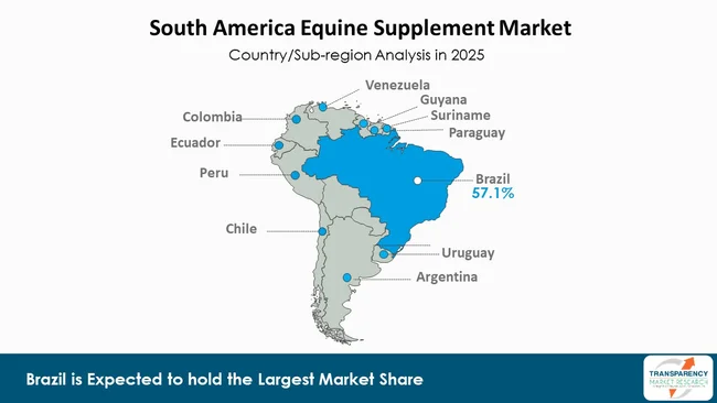 South America Equine Supplement Market By Region