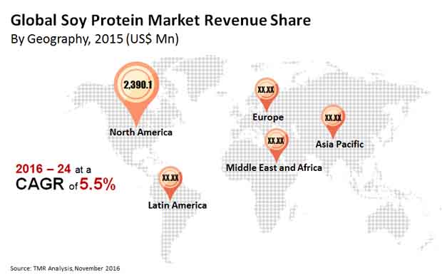 soy protein market