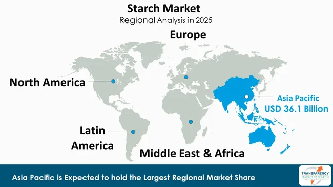 Starch Market By Region