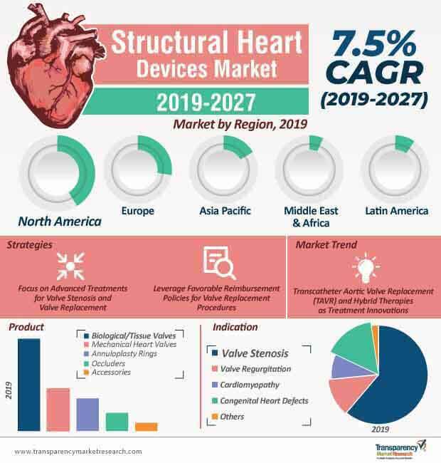 structural heart devices market infographic