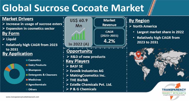 Sucrose Cocoate Market