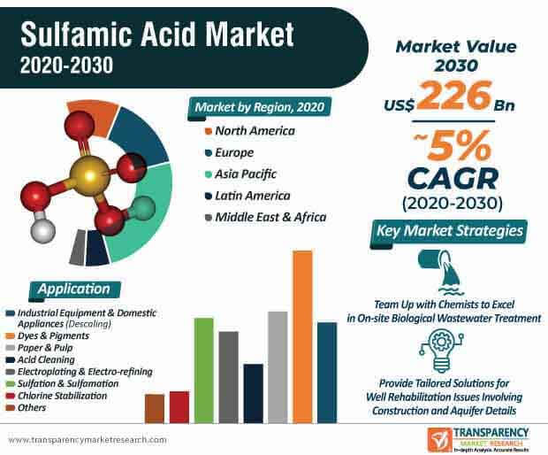Sulfamic Acid Market Infographic sulfamic acid market infographic