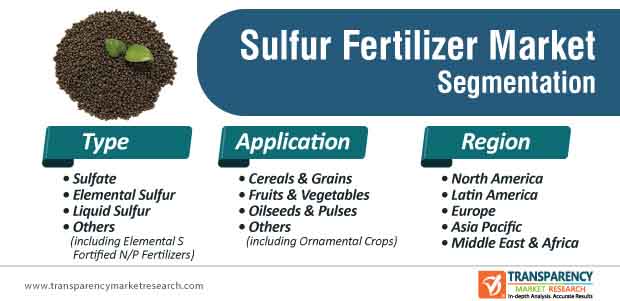 sulfur fertilizer market segmentation