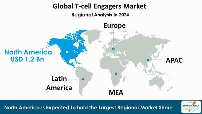 T Cell Engagers Market By Region