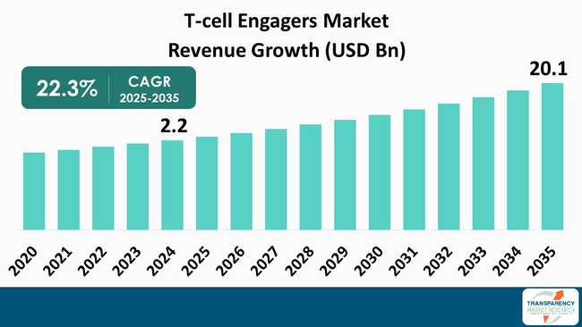 T Cell Engagers Market By Revenue
