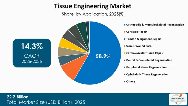 Tissue Engineering Market By Type Tissue Engineering Market By Type