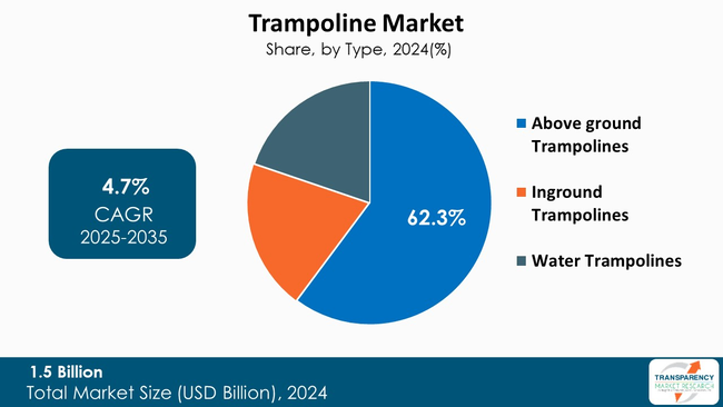 Trampoline Market By Type