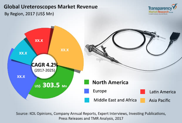 ureteroscopes market