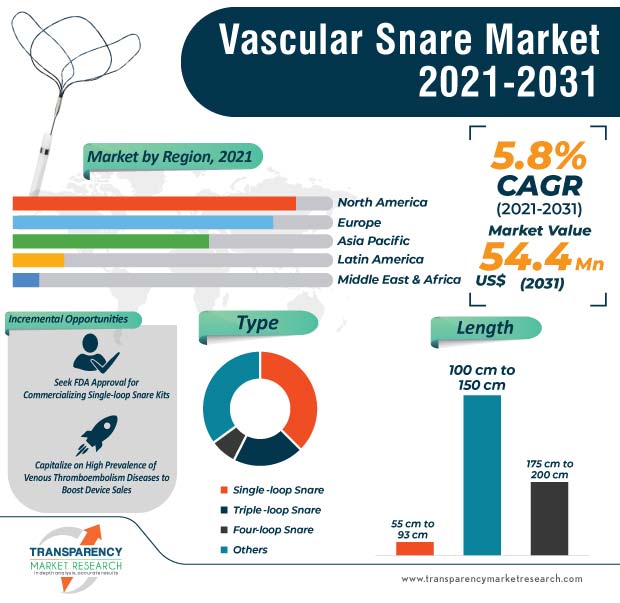 vascular snare market infographic