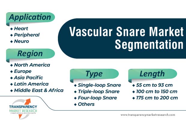vascular snare market segmentation