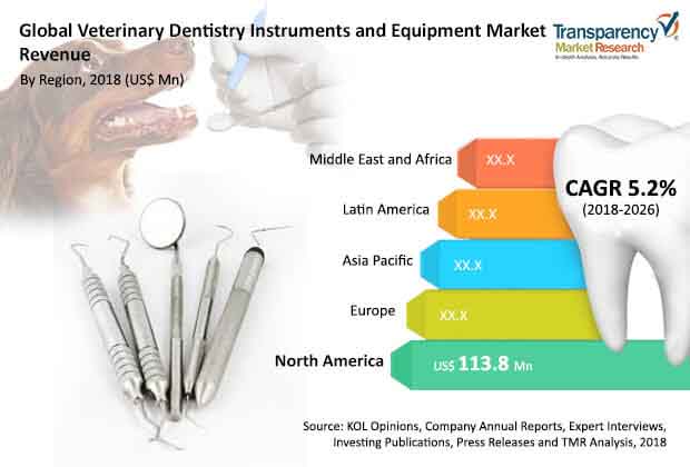 Veterinary Dentistry Instruments Equipment Market veterinary dentistry instruments equipment market