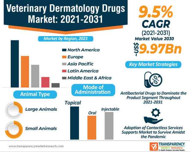veterinary dermatology drugs market infographic