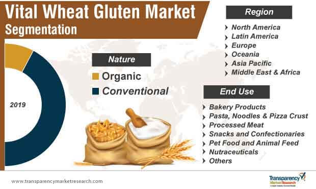 vital wheat gluten market segmentation