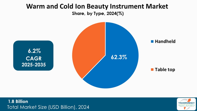 Warm And Cold Ion Beauty Instrument Market By Type